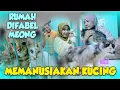 Download Lagu MEREKA LUAR BIASA ❗️🤩❗️MENYELAMATKAN KUCING‼️ANIMAL COMMUNICATOR