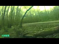 Underriver , I'm So Blessed You're Mine ,  Song by James Blake