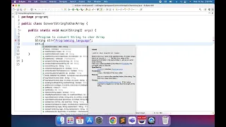 Convert String to Char Array Java