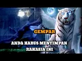 Download Lagu JIWA TERPILIH _ ANDA HARUS MENYIMPAN RAHASIA INI
