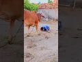 Download Lagu Jai gau Mata Jai shree Krishna 🙏  #youtube #shorts #viral #trending #short #love #reels #subscribe