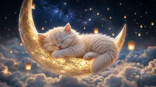 Dreamy Cozy Kitten Lullaby Vol.1 🐈 Moonlit Clouds | Relaxing Music Box Sleep Music