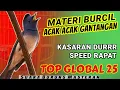 Download Lagu SIAP ACAK ACAK GANTANGAN!! MASTERAN BURUNG KECIL Tembakan Rapat dan Kasar - TOP GLOBAL 2025