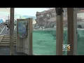 Adventure Aquarium Opens Penguins Park Saturday March 24