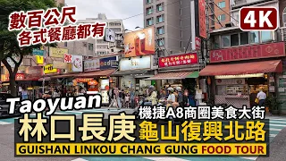 Taoyuan A8 Fuxing North Road Food Street Linkou Chang Gung Hospital Guishan