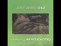 Afro Exotiq - Just Afro 012