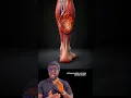 Download Lagu This is why Sitting too long is VERY BAD for you!