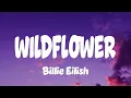 Lagu Billie Eilish - WILDFLOWER (Lyrics)