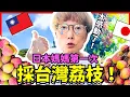 Download Lagu 日本媽媽第一次採台灣荔枝！感動第一次吃到最新鮮的台灣水果！Iku老師