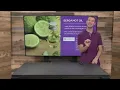 How To Smell Good Naturally: Best Essential Oils for Odor
