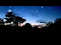 Cricket chirping 720p