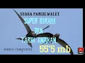 Download Lagu Suara walet birahi dan Tarik Anakan