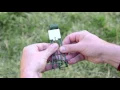 How to Set a Gopher Trap