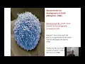 Multiplex proteomics using proximity extension assay for identification of protein biomarkers