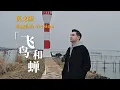 Download Lagu 飞鸟和蝉 Flying Bird and Cicada (英文版 English version by 肖恩 Shaun Gibson)