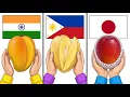 Every Mango Explained