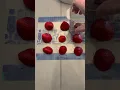 Pampered Chef Cup Slicer - Strawberries