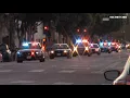 14x LAPD K-9 PATROL GANG UNITS RESPONDING CODE 3 TO WANTED SUSPECT PERIMETER NORTHEAST