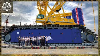 check out these 5 biggest cranes in the world wow 
