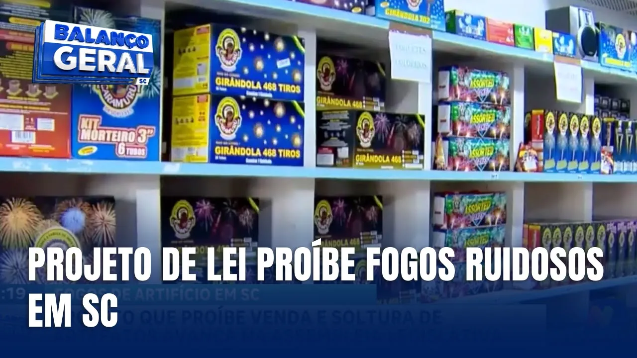 Projeto aprovado proíbe fogos de artifício ruidosos em SC