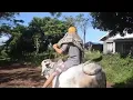 Download Lagu Salam Cinta Dari Ujung Kandang | Dosen Peternakan