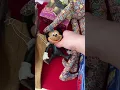 Download Lagu Kom met mij naar een rommelmarkt!