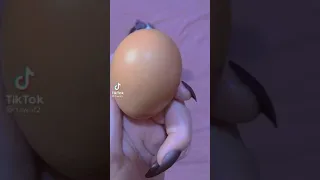 اغنيه هذي البيضه فيها كتكوت 