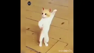 اجا العيد بدون إيقاع عصومي ووليد طيور الجنة   دندنها
