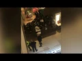 Inside Orland Square Mall after deadly shooting