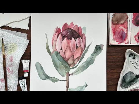 Download MP3 Protea flower watercolor tutorial