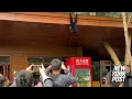 Unsuspected tourists showered on by urinating monkey New York Post