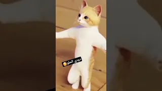 دودي دودو Funny ترند Shortsyoutube 