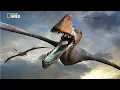 Download National Geographic - Flying Sky Monsters Pterosaur - New Documentary HD 2018 mp4 3gp mp3 videos - waplic