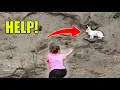 Lagu RESCUING A PET BUNNY OFF A CLIFF! (the hardest rescue I've ever done!)