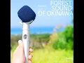 Sound of Nature in Okinawa Clean Forest 1