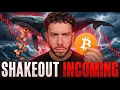 BITCOIN THE PERFECT STORM