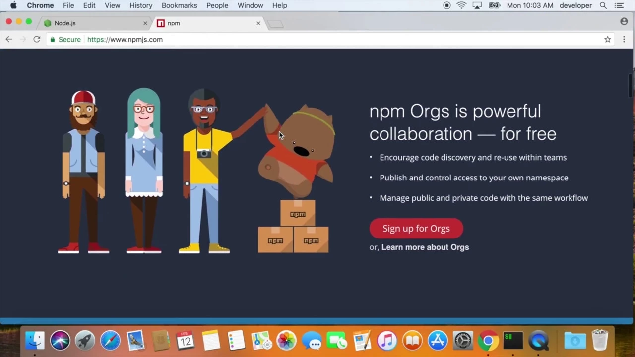 How to properly configure node and npm