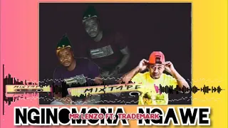 mr lenzo ft trademark nginomona ngawe new hit visualizer 