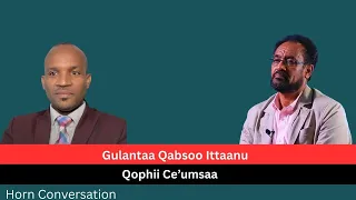 Gulantaa Qabsoo Ittaanuu Fi Qophii Ce Umsaa 