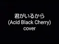 君がいるから (Acid Black Cherry)cover