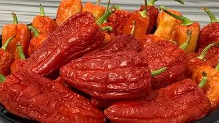 Sekreti i specave për dimer 🌶️❄️Recetë e lehtë, pa shumë mundim🥰🩷