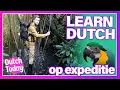 Een Nederlands Jungle Avontuur! #NT2 #learndutch
