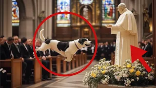 Dog Interrupts Mass, Barks at Saint John Paul II Statue—What Happens Next Will Shock You!