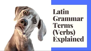 Latin Grammar Terms Verbs Explained