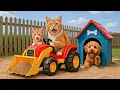 Download Lagu Mama Cat Trims Fur on the Farm and Makes Tiger Hat For Kittens At Home🐾🎩🐯