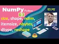 Numpy Python Tutorial 9 Numpy Attributes size shape ndim itemsize nbytes dtype reshape