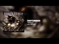 Download Lagu Disturbed - Warrior [Official Audio]
