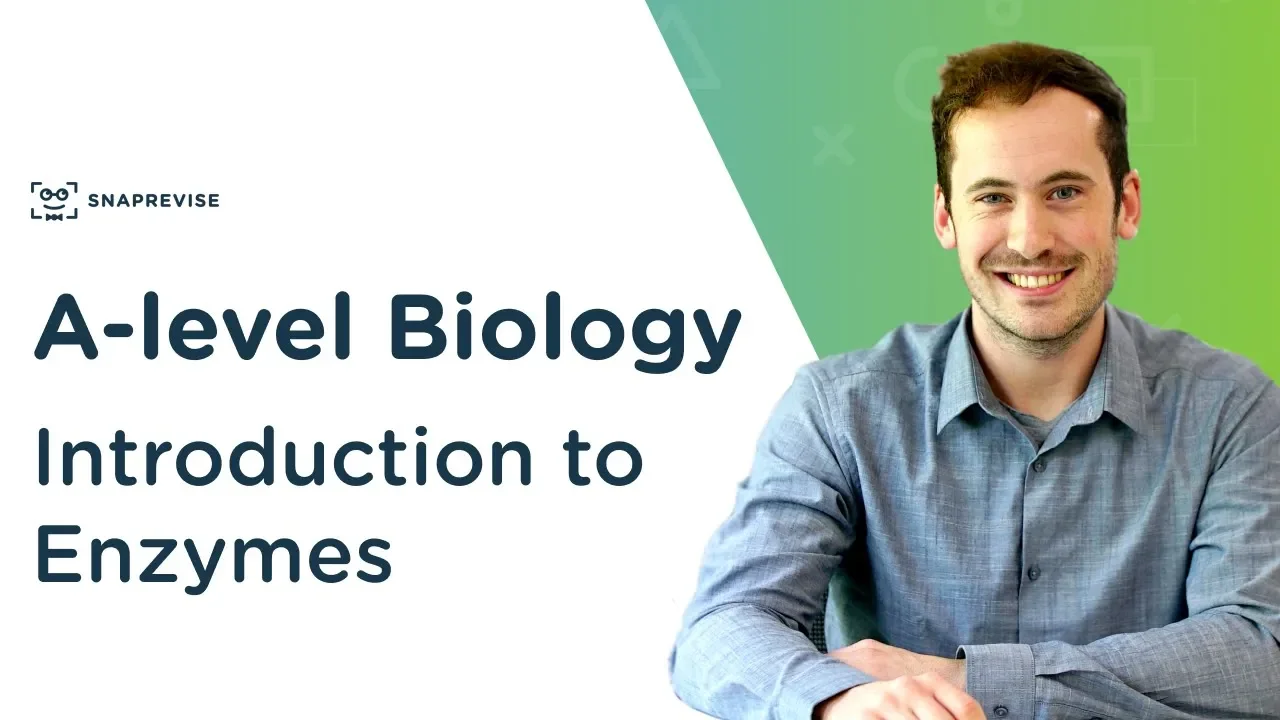 Introduction to Enzymes | A-level Biology | OCR, AQA, Edexcel