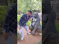 Download Lagu don't touch me 🦍 😱 🤣 #shorts