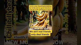 Song Music Facts Https Open Spotify Com Album 1QVQZLKy5RsRHV9eb8Ptba Si MHFU K8TRXSsyaPUnZqk2w 